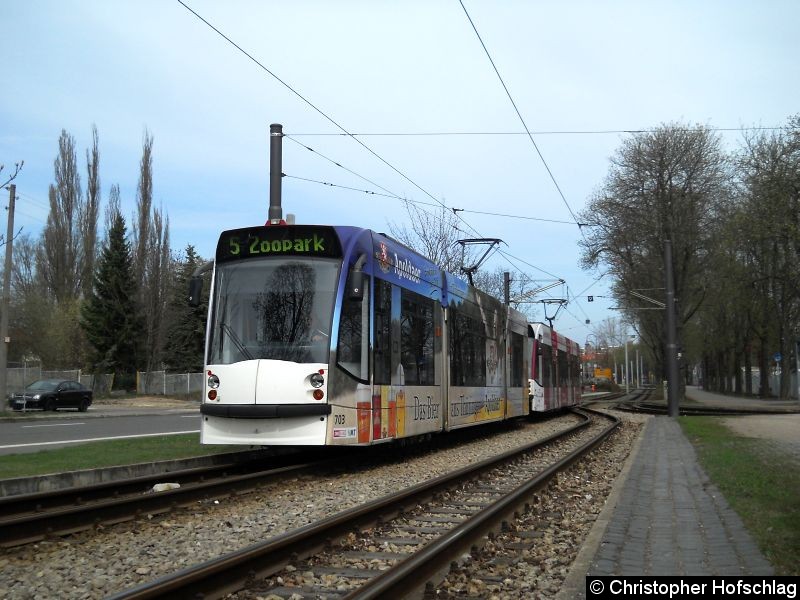 Bild: TW 703+705 bei der Einfahrt in die Schleife Thüringenhalle.