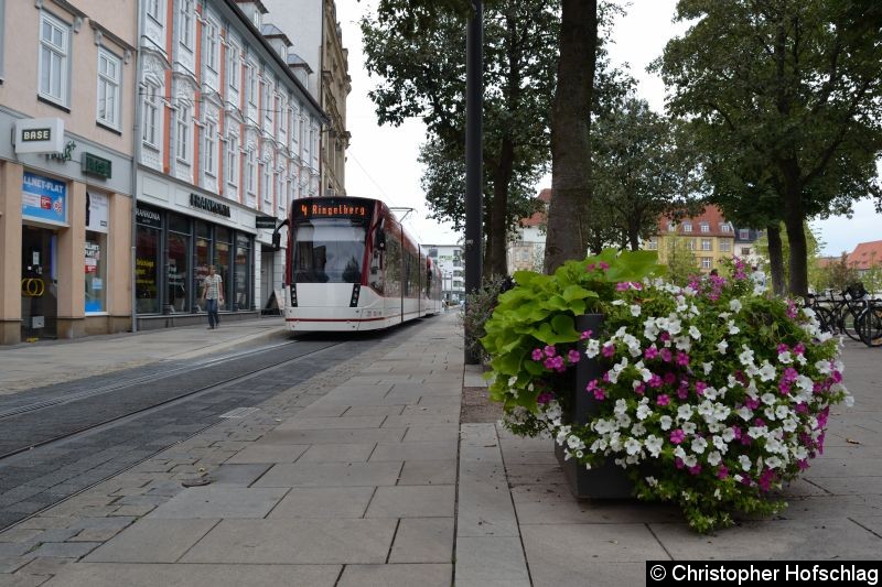 Bild: TW 721+722 als Linie 4 an der Haltestelle Hirschgarten.