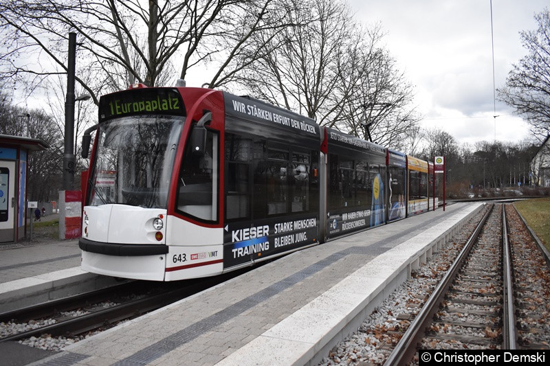 Bild: TW 643 als Linie 1 an der Thüringenhalle.