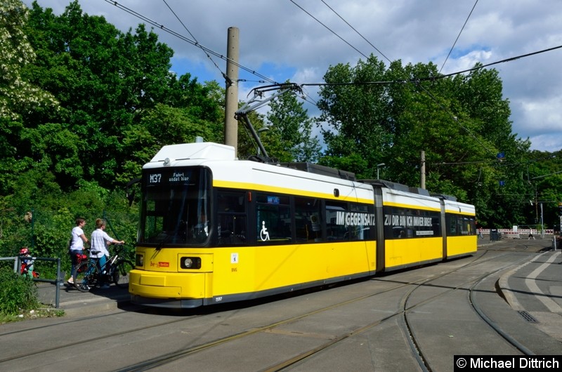 Bild: 1597 als Linie (M)37 an der Ankunftshaltestelle S Schöneweide/Sterndamm.