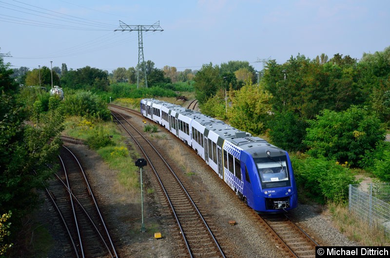 Bild: 620 409/621 409/620 909 als Linie 51 bei der Einfahrt in den Bahnhof Brandenburg Altstadt.