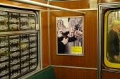 Ausstellung im Zug