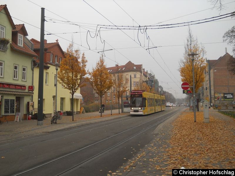 Bild: TW 610 an der Haltestelle Ilversgehofner Platz in Richtung Zoopark auf der Linie 5.