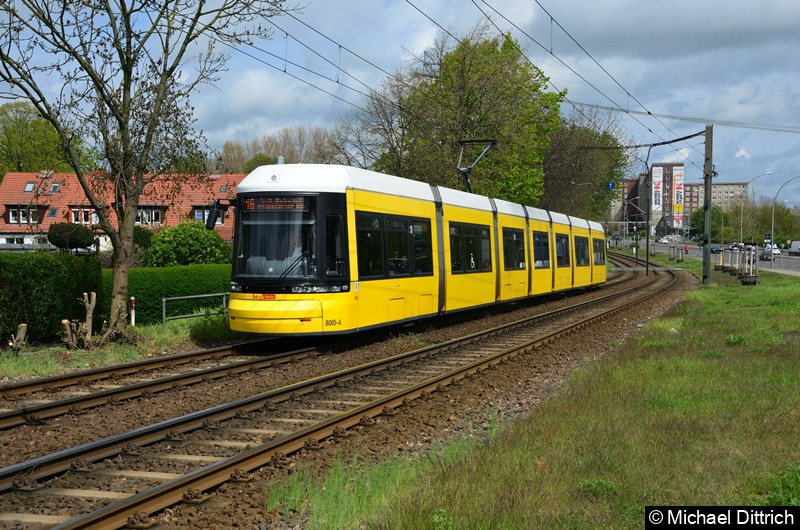 8005 als Linie 16 zwischen den Haltestellen Landsberger Allee/Rhinstr. und Dingelstädter Str.