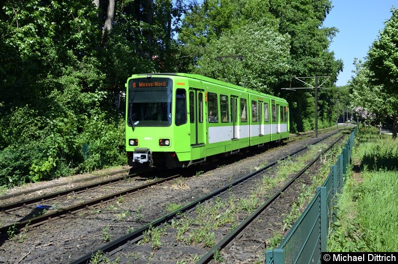6256 als Linie 8 zwischen den Haltestellen Am Mittelfelde und Messe/Nord.