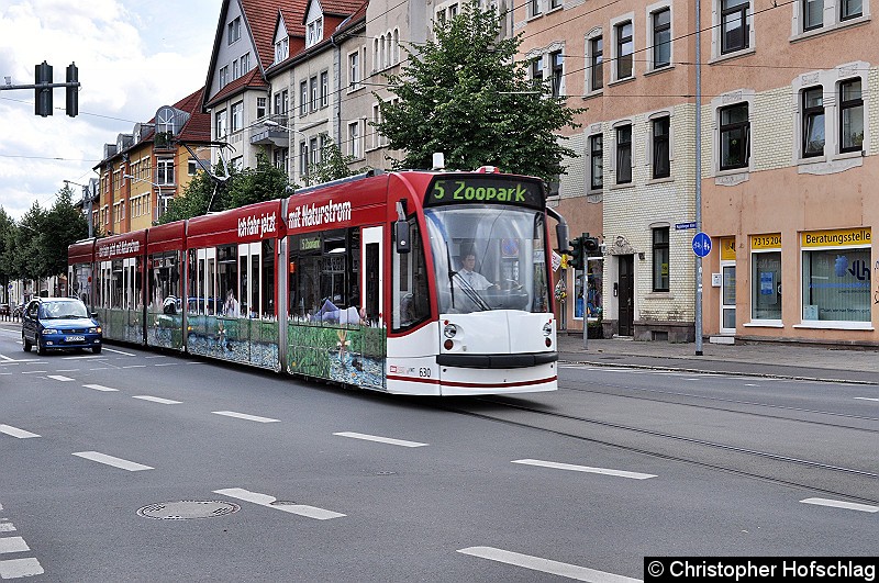 Bild: TW 630 als Linie 5 in Richtung Zoopark in der Magdeburger Allee vor der Haltestelle Ilversgehofner Platz.