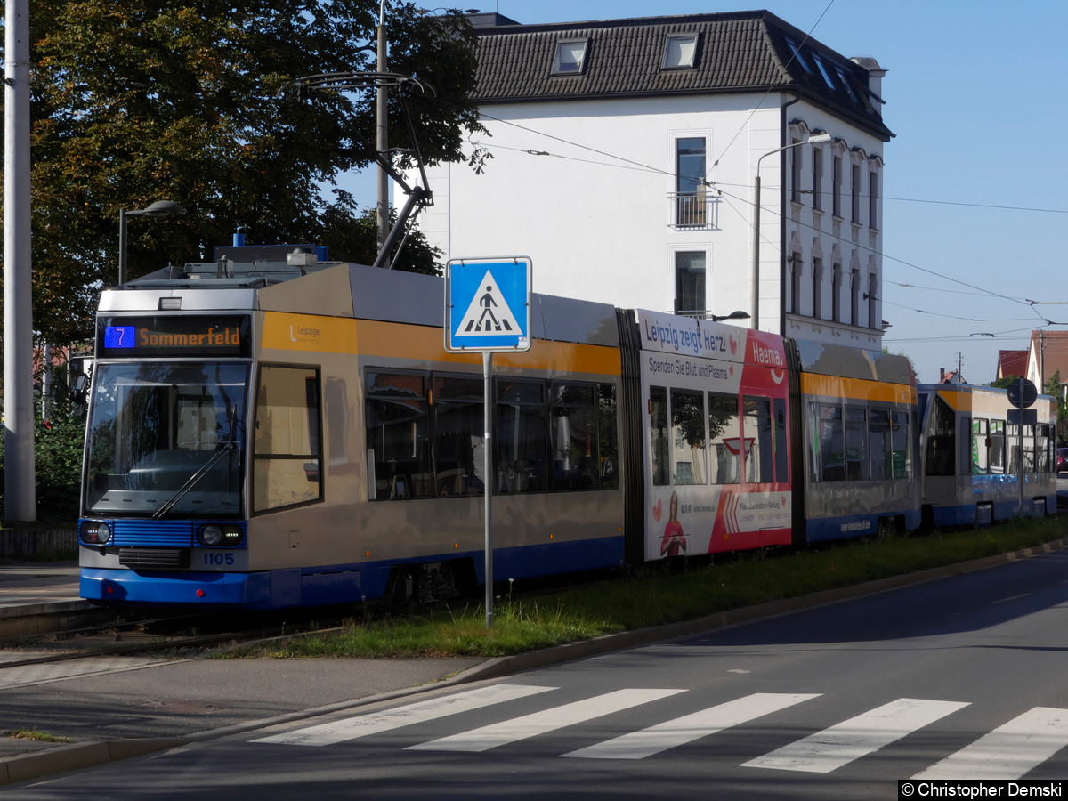 Bild: TW 1105+923 als Linie 7 an der Haltestelle Böhlitz-Ehrenberg.