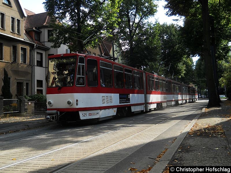 Bild: Tw 525+524+526 auf der Linie 3 in der Haltstelle Rober-Koch-Straße.