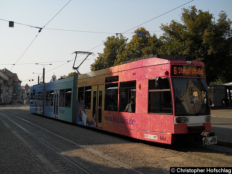 Bild: Haltestelle Domplatz Nord als Linie 6.