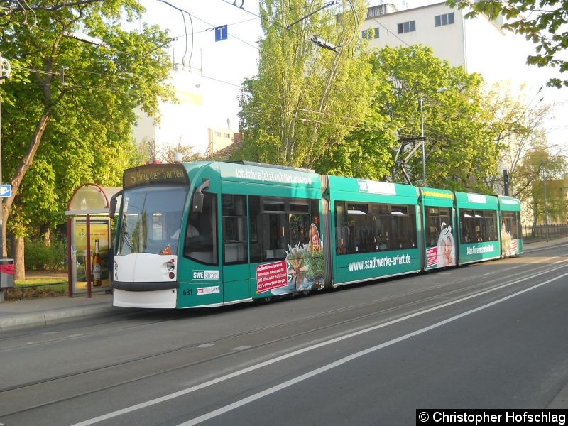 Bild: TW 631 auf der Linie 5 an der Haltestelle Salinenstraße.