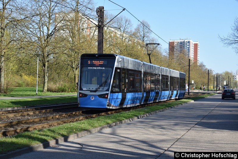 Bild: TW 603 als Linie 5 zwischen den Halestellen Warnowallee und Turkuer Str.