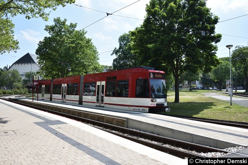 Bild: TW 602 als Linie 6 an der Endstelle Thüringenhalle.