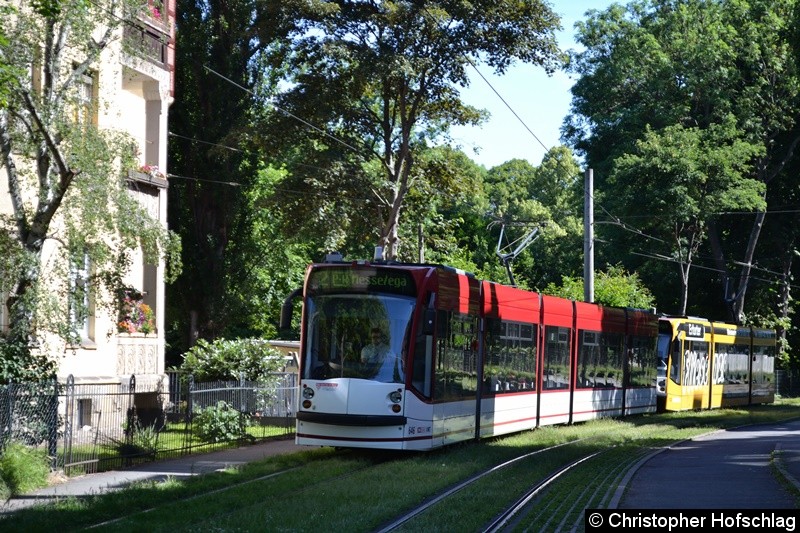 Bild: TW 646+702 als Linie 2 am Brühler Garten.