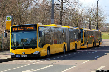 Bild des Monats