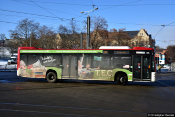 Für größere Ansicht bitte anklicken Bild des Monats